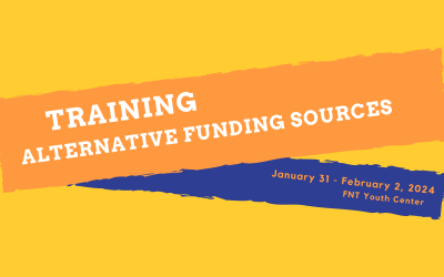 Training Course: Strategies for Attracting Alternative Sources of Funding in the Youth Sector